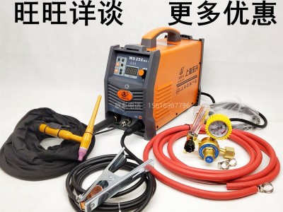 上海东升氩弧焊机WS-250MS家用焊接不锈钢碳钢便携式全套图1