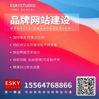 网站开发网页设计电脑网站手机网站H5网站自适应XXX站