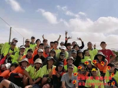 张家界新西兰正规出国劳务普工牧场普工包吃包住出境快