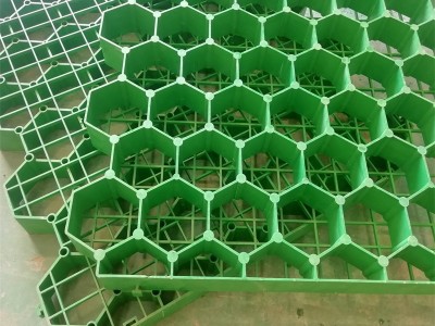 户外植草格加固停车场专用植草格图2
