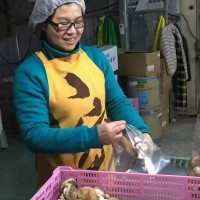 南通出国去澳大利亚打工男女不限55周岁以内保签不成功全额退