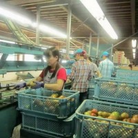 白银爱尔兰出国劳务靠谱么寻代理正规工签年薪保底45-50万