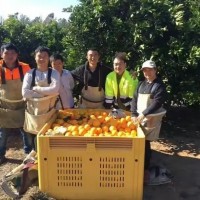 怒江中国出国劳务信息网诚聘代理高薪回报零费用急招