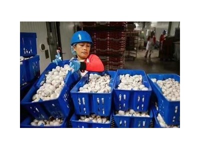 开封出国到澳大利亚劳务有无技术均可报名互赢共利