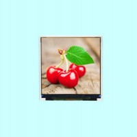 1.54寸高清320*320分辨率MCU接口TFT液晶屏