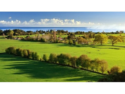 开封承接软件开发，门户网站建设，维护，小程序设计，平台搭建