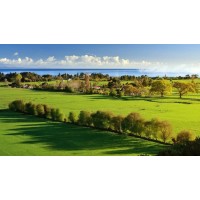 开封承接软件开发，门户网站建设，维