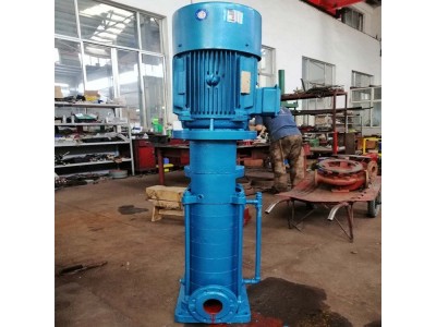 DL型立式多级清水离心泵，离心泵来找上海三利图3