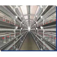 蛋鸡笼层叠蛋鸡笼全自动蛋鸡笼工厂直