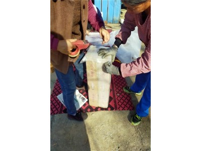 桓台宫家细毛山药淄博原产地批发图3