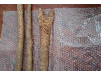 山东淄博宫家山药新鲜10斤礼盒装图2