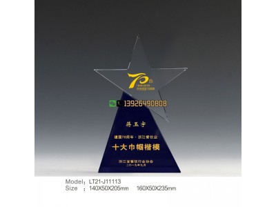 公司奖杯公司,企业员工奖品,年终表彰/年度员工奖杯定做图2