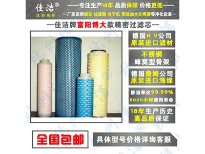 高效除油器滤芯FLY-20/8-C FLY-20/8-T图2