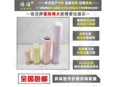 高效除油器滤芯FLY-20/8-C FLY-20/8-A