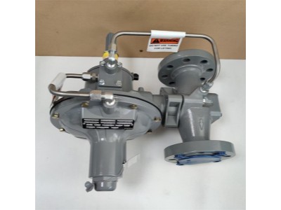 FISHER费希尔299H DN50内螺纹减压阀图2