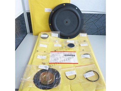 FISHER费希尔299H DN50内螺纹减压阀图3