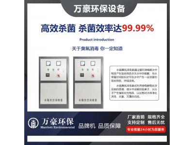 武汉万豪外置水箱消毒臭氧机泳池水纯净水二次循环使用杀菌消毒图2