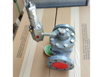 FISHER然调压器EZR DN50法兰减压阀图2