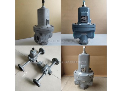 美国FISHER费希尔调压器MR95H高压减压阀图2
