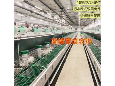 兔舍养兔子繁育兔笼 欧式兔笼双层热镀锌丝笼
