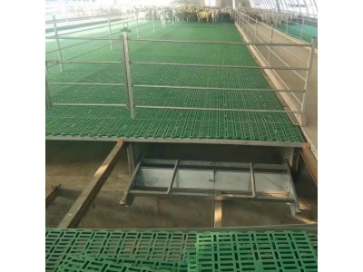 厂家批发 羊用塑料漏粪板 养羊用底板 养羊设备100乘50图2