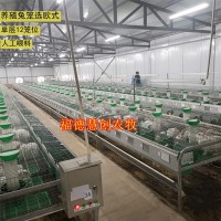 兔子养殖笼具 大型欧式兔笼 单层12位