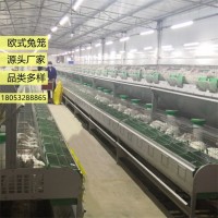 养殖兔子兔笼欧式阶梯兔笼 大型繁育