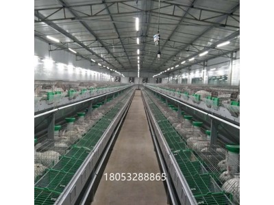 养殖兔子兔笼欧式阶梯兔笼 大型繁育一体笼子图2