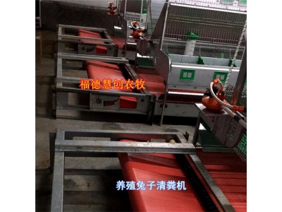兔子养殖兔舍兔粪清洁设备 输送带式自动清粪机