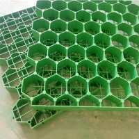 停车坪施工专用塑料固草格