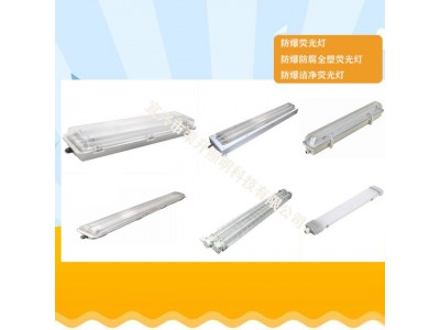 BAY51-Q防爆防腐全塑荧光灯led荧光灯价格/参数
