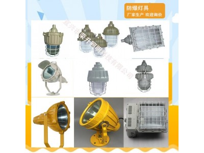 BAT86防爆LED泛光灯车间led防爆照明灯IP66