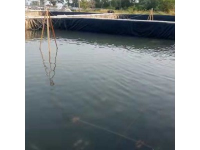 聚乙烯土工膜大型蓄水池建设园林人工湖项目防渗聚乙烯土工膜图2