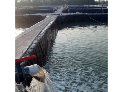 聚乙烯土工膜大型蓄水池建设园林人工湖项目防渗聚乙烯土工膜图4