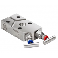 Rosemount™ R305 一体化阀组