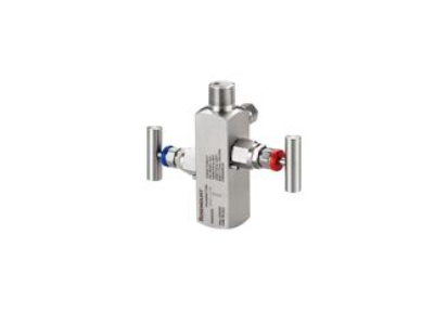 Rosemount™ R306 直连式阀组