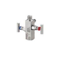 Rosemount™ R306 直连式阀组