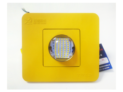 销售低压冷库专用照明灯低压LED冷库灯具36v冷库灯