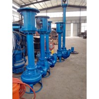 立式泥沙泵 化工清淤泵 湖泊污泥泵