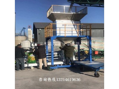 黑龙江省齐齐哈尔市绿豆电动称重打包机质量好图1