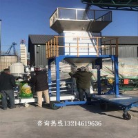 黑龙江省齐齐哈尔市绿豆电动称重打包机质量好