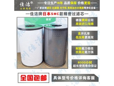 滤芯过滤器配套滤芯AM-EL250 AMD-EL250图3