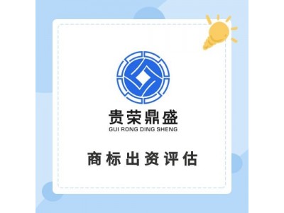 雅安市专利出资评估软著实缴评估商标价值评估知识产权评估图3