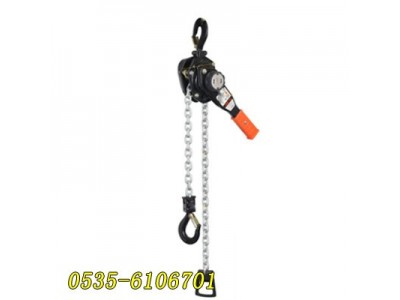 池州环链手板葫芦厂家价格,SLD-LH008环链手板葫芦