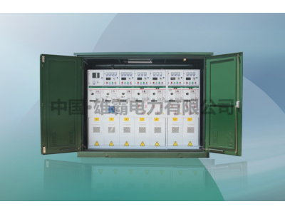 XGN15-12环网柜（六氟化硫环网柜）图4