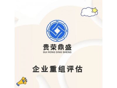 江苏省泰州市企业整体评估企业价值评估净资产评估图5