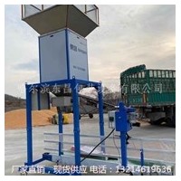 四川省生物质颗粒木炭颗粒缝包机速度快800包/时