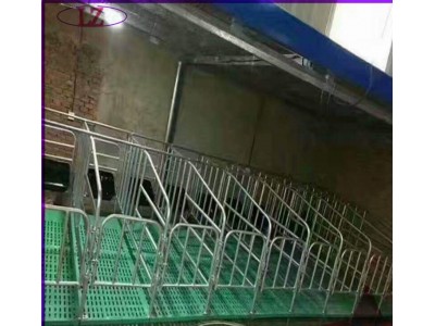 养猪设备母猪落地式定位栏悬空限位栏哪家好