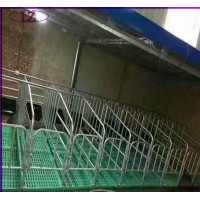 养猪设备母猪落地式定位栏悬空限位栏哪家好
