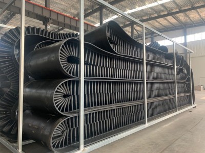 挡边输送带 波状挡边皮带 大倾角皮带EP200图4